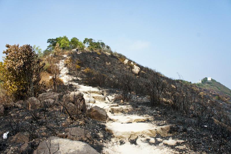 Devil's Peak (炮台山)