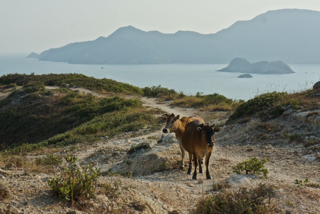 Tai Long Tsui (大浪咀)