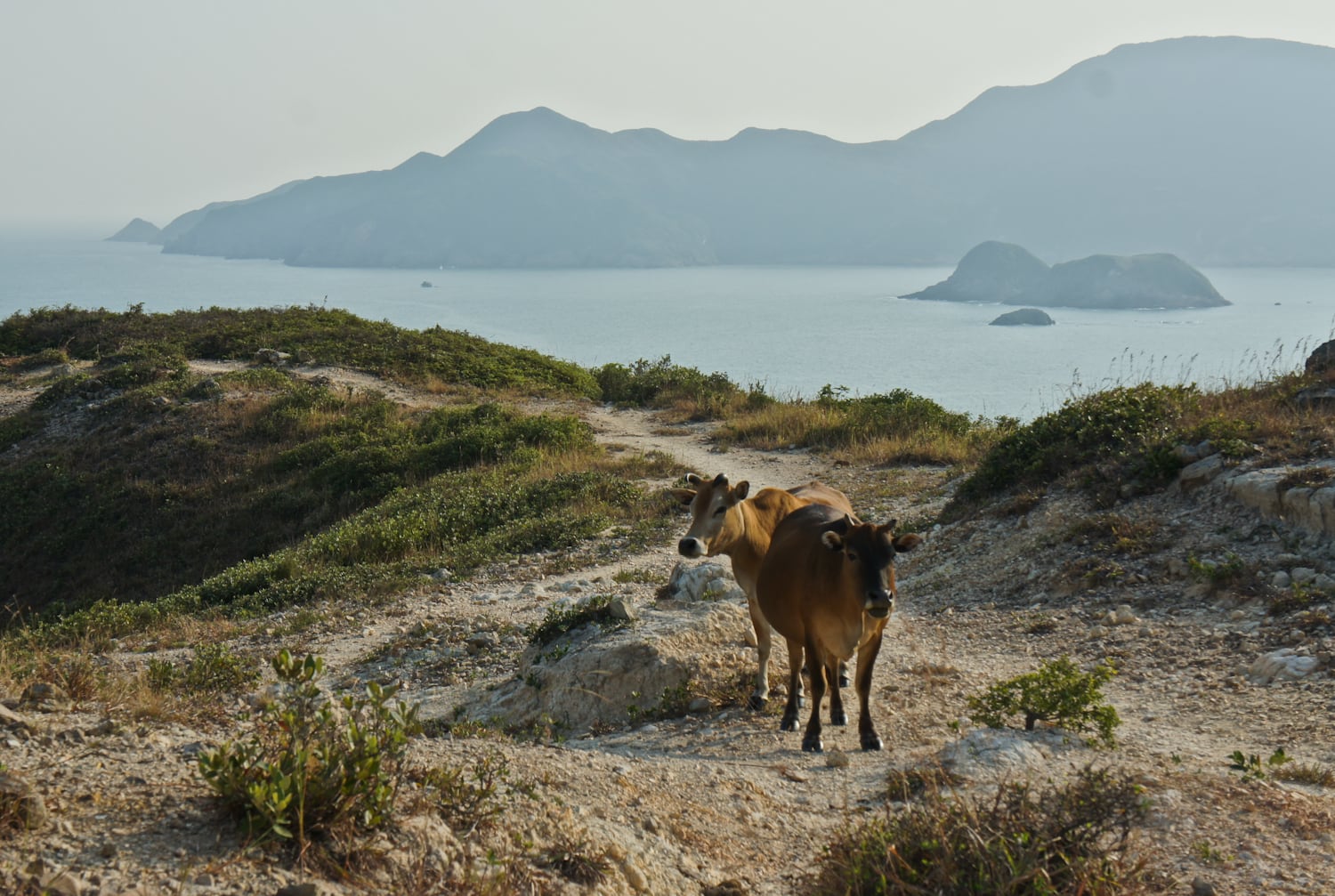 Tai Long Tsui at Sai Kung | 西貢大浪咀