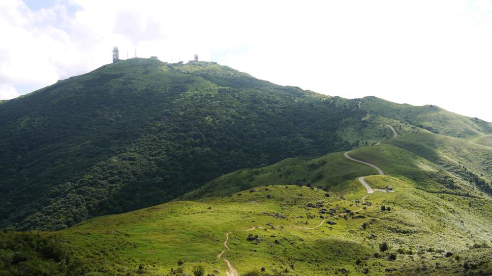 Tai Mo Shan - 大帽山