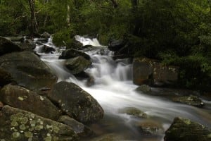 Bride’s Pool Nature Trail | 船灣新娘潭自然教育徑