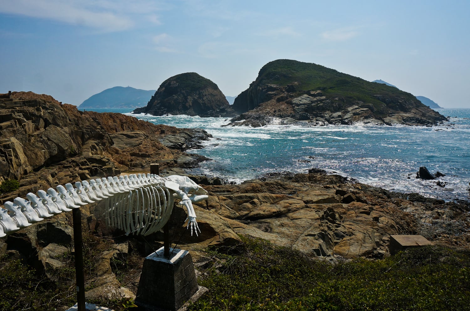 Whale Bone at The Swire Institute of Marine Science (SWIMS), Cape d'Aguilar Peninsula