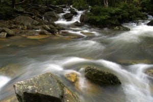 Bride’s Pool Nature Trail at Plover Cove Country Park | 船灣新娘潭自然教育徑