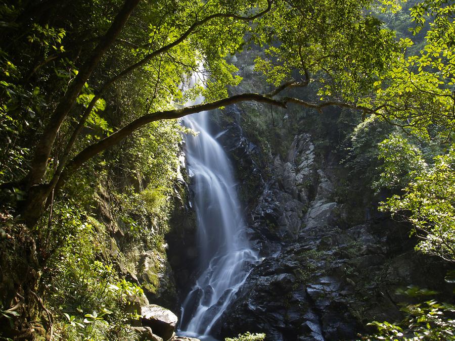 Bride's Pool Nature Trail at Plover Cove Country Park | 船灣新娘潭自然教育徑