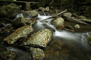 Bride’s Pool Nature Trail | 船灣新娘潭自然教育徑