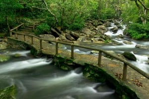 Bride’s Pool Nature Trail