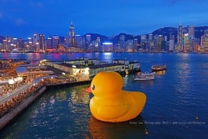 Giant Yellow Rubber Duck in Victoria Harbor Hong Kong