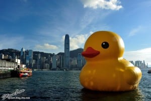 Giant Yellow Rubber Duck in Victoria Harbor Hong Kong