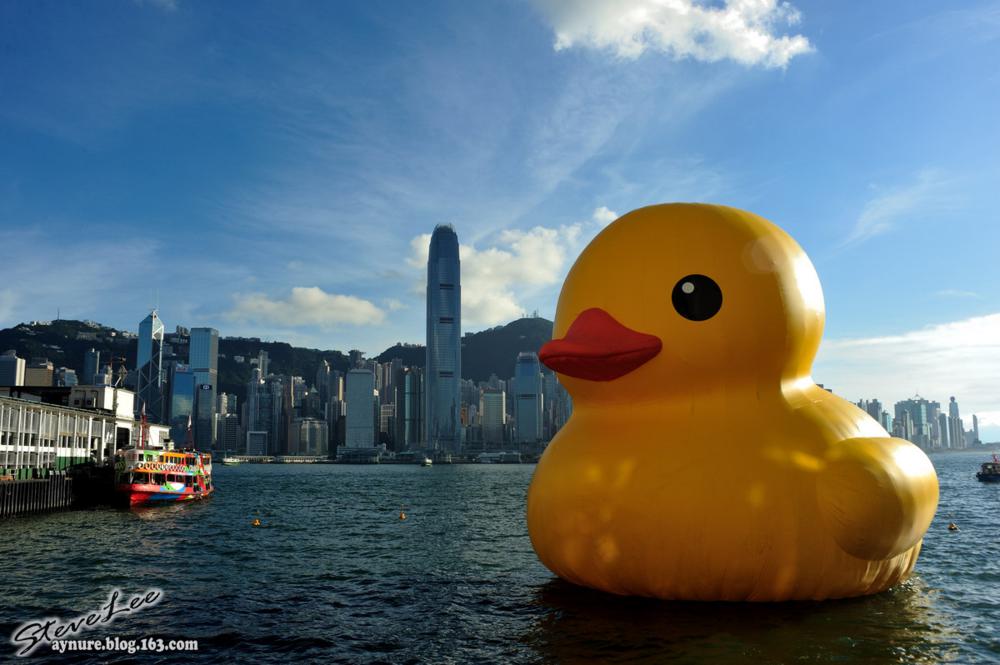 Giant Yellow Rubber Duck in Victoria Harbor Hong Kong