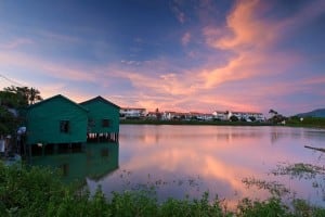 Fish Ponds at Tai Sang Wai