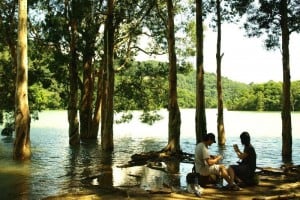 Rainy Season in Shing Mun Reservoir 城門水塘雨季