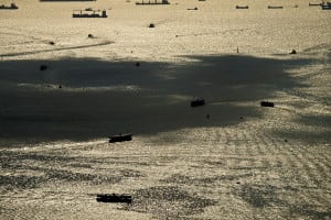 Ships at Victoria Harbour, Deep Water Ports at Hong Kong | 維港深水港