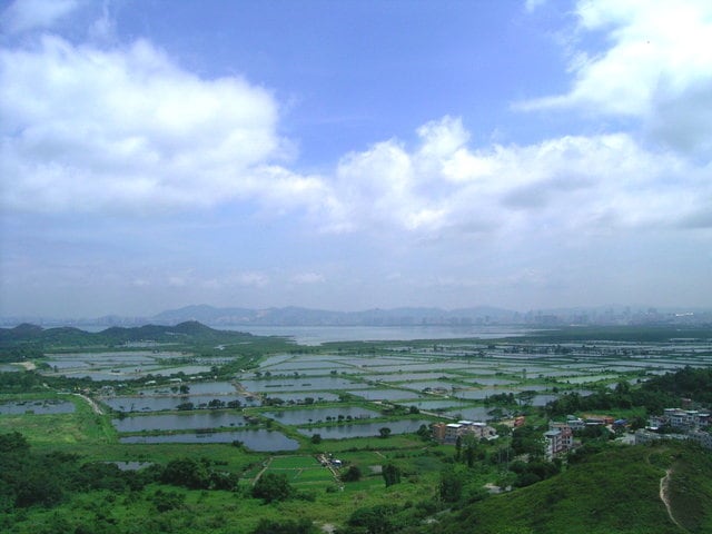 Fishponds at Yuen Long seen from Ah Kai Shan 丫髻山