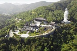 Bird View of Tsz Shan Monastery | 慈山寺全景