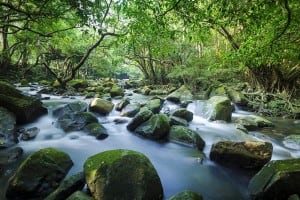 Tai Shing Stream 大城石澗