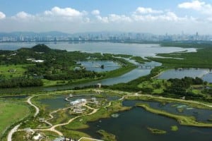 Hong Kong Wetland Park Bird View | 香港濕地公園鳥瞰