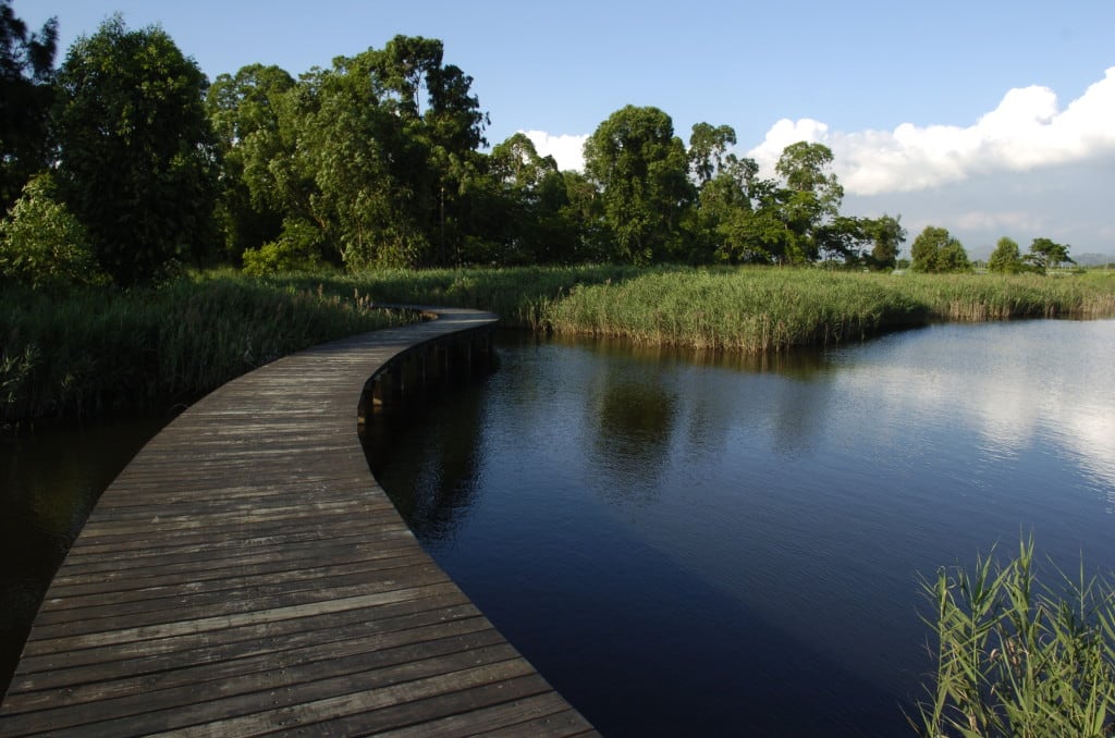 Hong Kong Wetland Park | 香港濕地公園