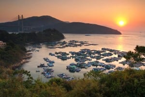 Floating Fishing Rafts at Tam Shui Wan and Shek Tsai Wan