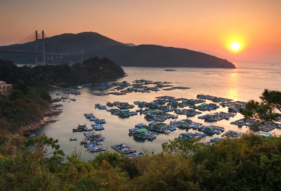 Floating Fishing Rafts at Tam Shui Wan and Shek Tsai Wan | 淡水灣和石仔灣的漁排